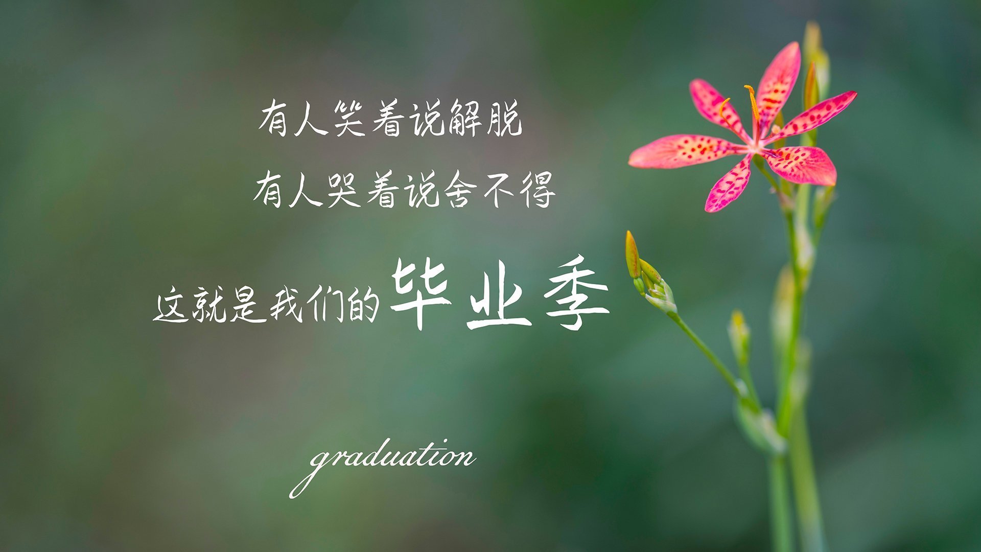 商业照明照度标准(商业照明包括哪些)