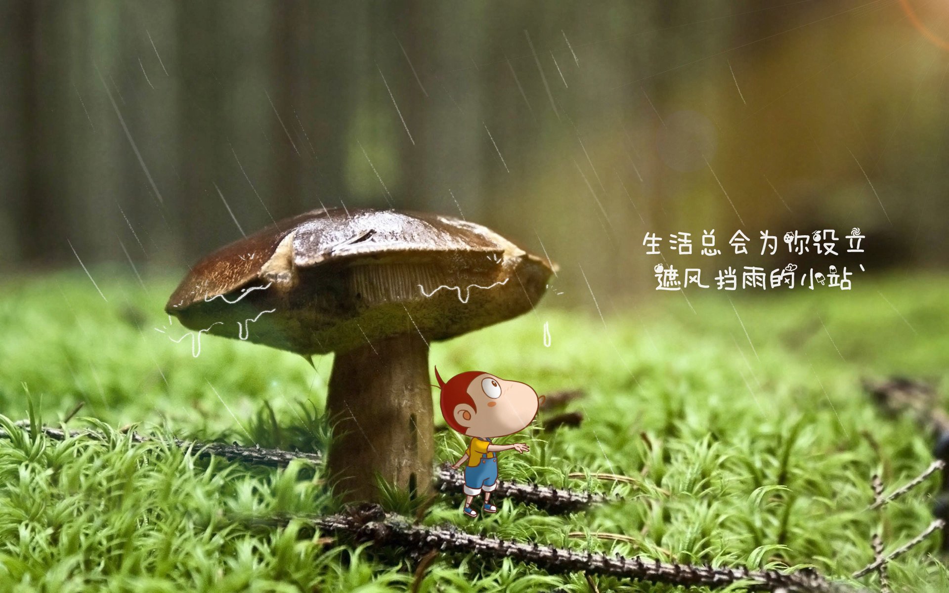 商业照明广告语怎么写吸引人(商业照明广告语怎么写吸引人的)