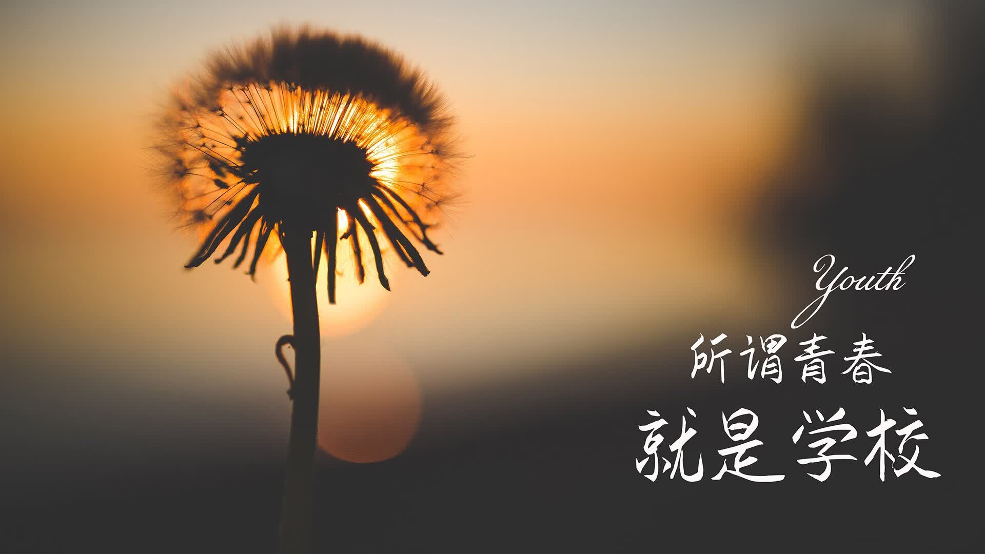 现代家居照明品牌排名前十(家居照明品牌排行榜)